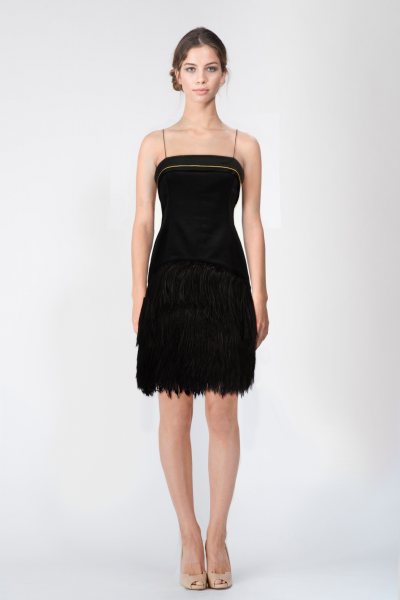 Robe plumes noires